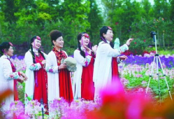 老年人舞蹈视频,老年人舞蹈视频的魅力与启示